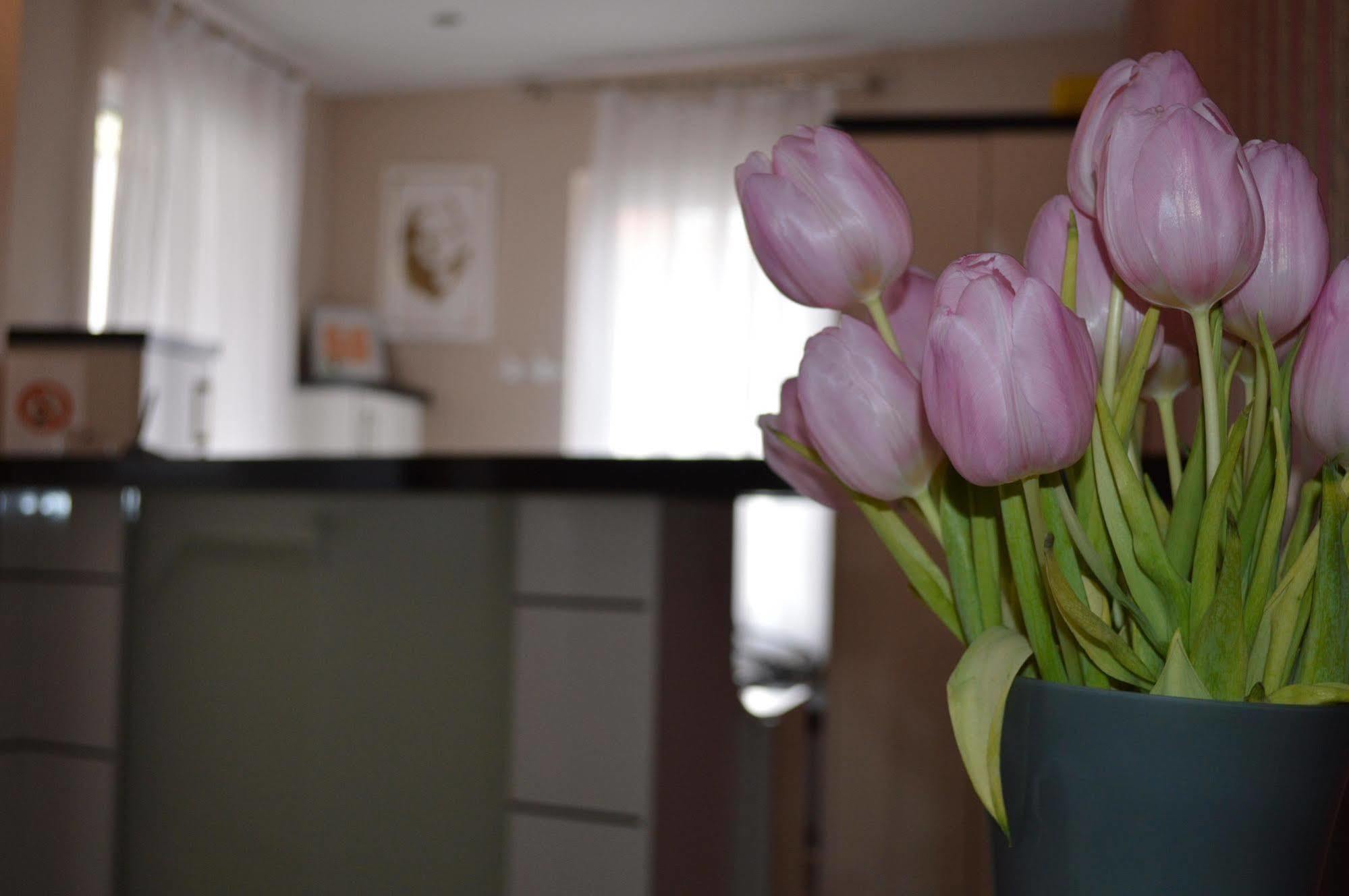 Erde Hotel Эрланген Экстерьер фото